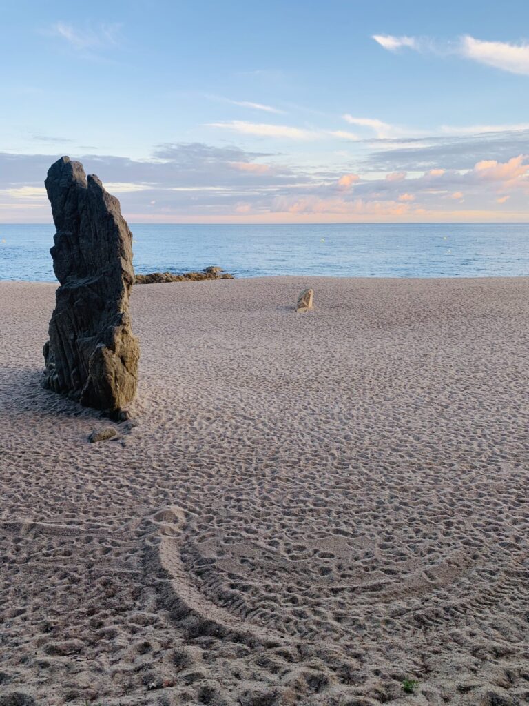 alquiler de velero brava roses empuriabrava