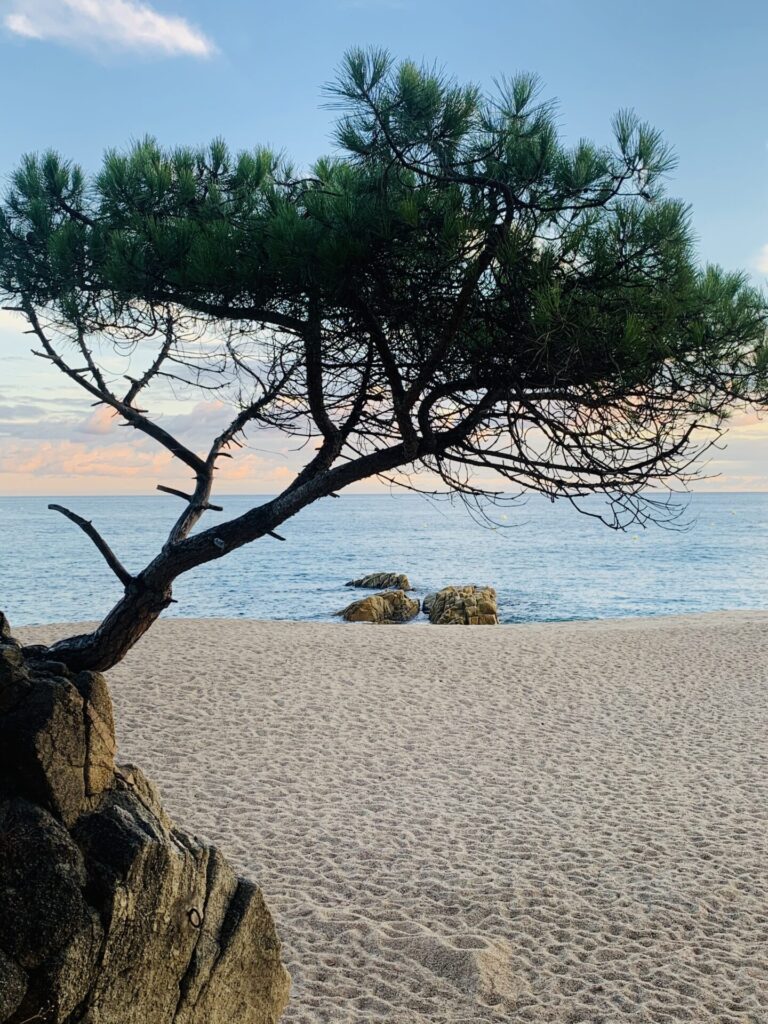 ruta sur costa brava roses